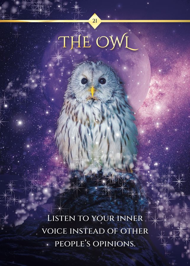 Messenger of Spirit Oracle Deck with Booklet